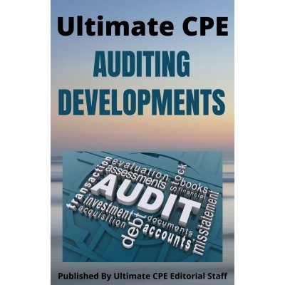 Auditing Developments 2024